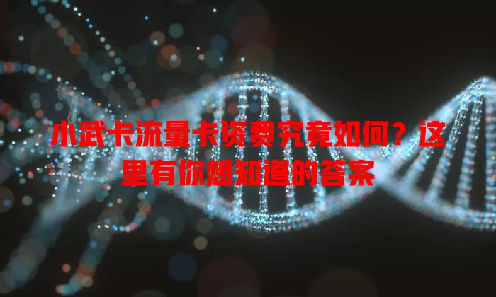小武卡流量卡资费究竟如何？这里有你想知道的答案