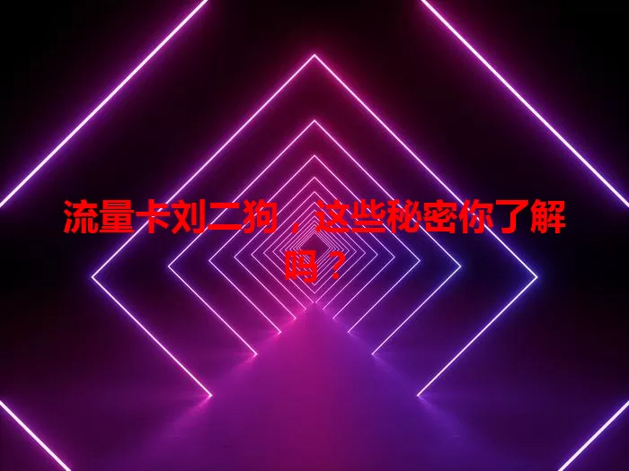 流量卡刘二狗，这些秘密你了解吗？