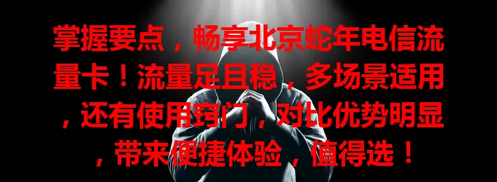 掌握要点，畅享北京蛇年电信流量卡！流量足且稳，多场景适用，还有使用窍门，对比优势明显，带来便捷体验，值得选！