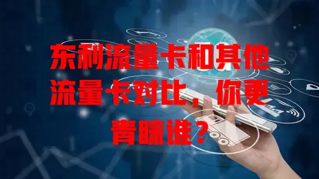 东利流量卡和其他流量卡对比，你更青睐谁？