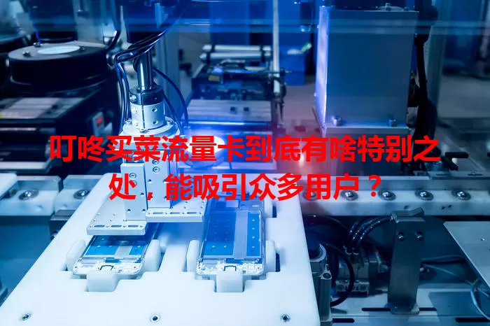 叮咚买菜流量卡到底有啥特别之处，能吸引众多用户？