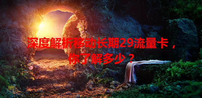 深度解析移动长期29流量卡，你了解多少？