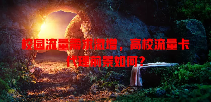 校园流量需求激增，高校流量卡代理前景如何？