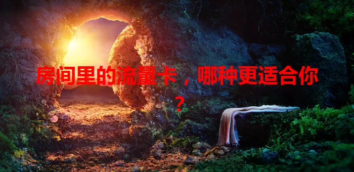 房间里的流量卡，哪种更适合你？