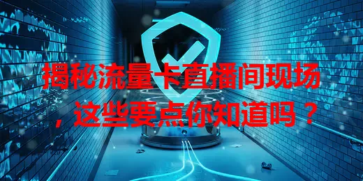揭秘流量卡直播间现场，这些要点你知道吗？