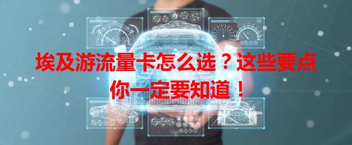 埃及游流量卡怎么选？这些要点你一定要知道！