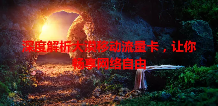 深度解析大漠移动流量卡，让你畅享网络自由