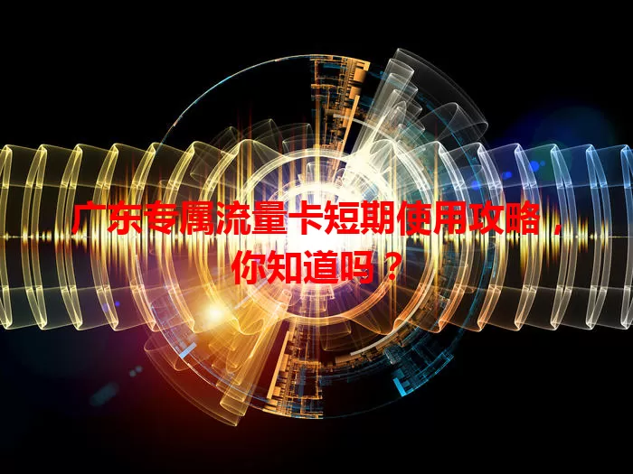 广东专属流量卡短期使用攻略，你知道吗？