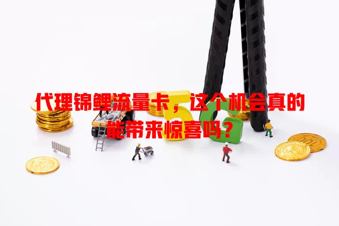 代理锦鲤流量卡，这个机会真的能带来惊喜吗？