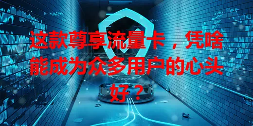这款尊享流量卡，凭啥能成为众多用户的心头好？