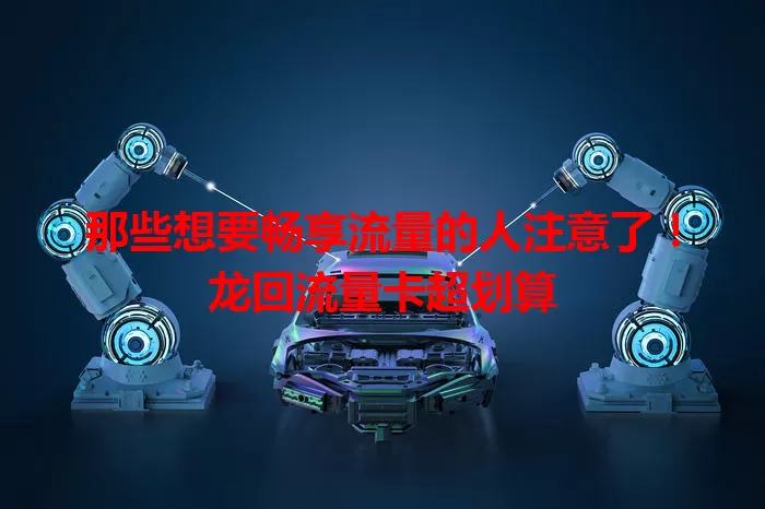 那些想要畅享流量的人注意了！龙回流量卡超划算