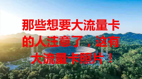 那些想要大流量卡的人注意了，这有大流量卡照片！