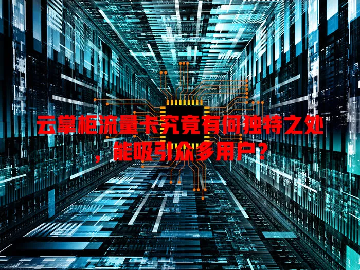 云掌柜流量卡究竟有何独特之处，能吸引众多用户？