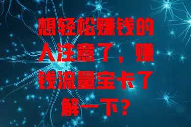 想轻松赚钱的人注意了，赚钱流量宝卡了解一下？