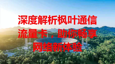 深度解析枫叶通信流量卡，助你畅享网络新体验