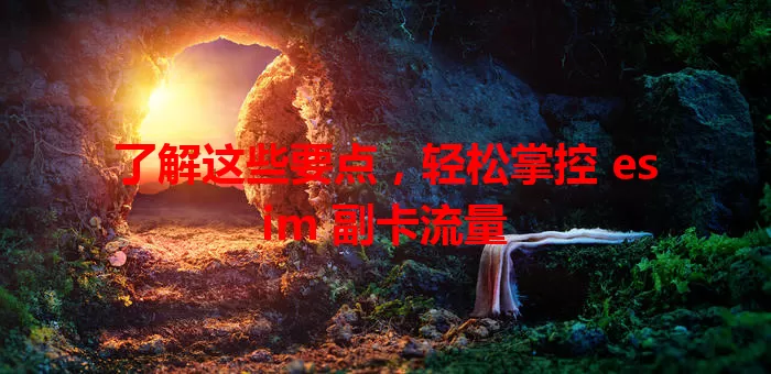 了解这些要点，轻松掌控 esim 副卡流量