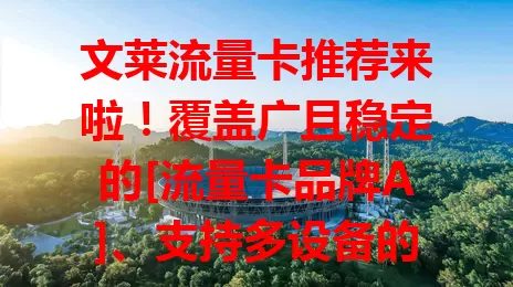 文莱流量卡推荐来啦！覆盖广且稳定的[流量卡品牌A]、支持多设备的[流量卡品牌B]、信号强套餐灵活的[流量卡品牌C]，按需选，畅享当地便捷网络