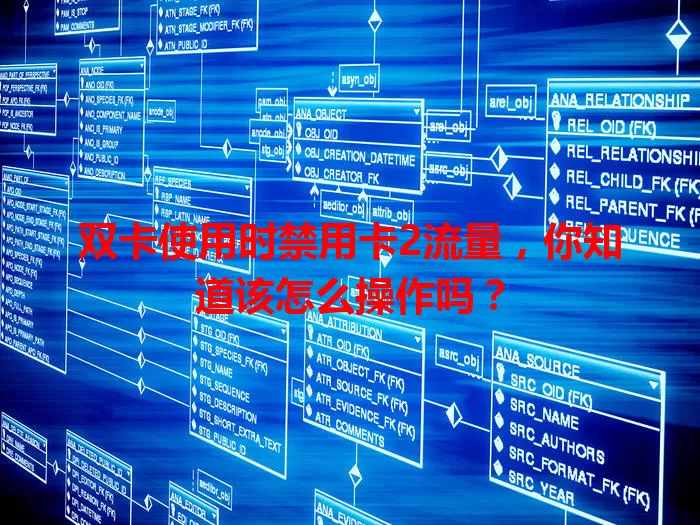 双卡使用时禁用卡2流量，你知道该怎么操作吗？