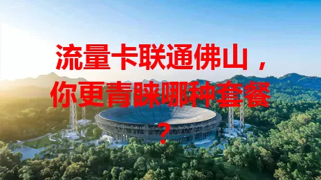 流量卡联通佛山,你更青睐哪种套餐?