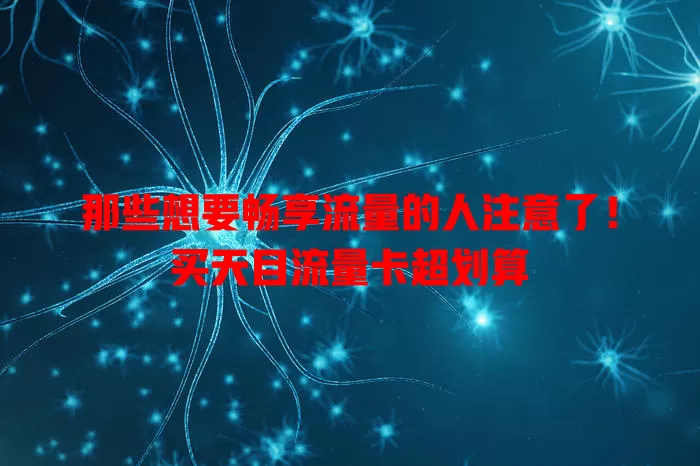 那些想要畅享流量的人注意了！买天目流量卡超划算