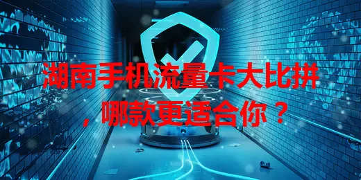 湖南手机流量卡大比拼，哪款更适合你？