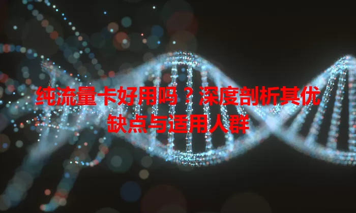 纯流量卡好用吗？深度剖析其优缺点与适用人群