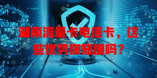 湖南流量卡电信卡，这些优势你知道吗？
