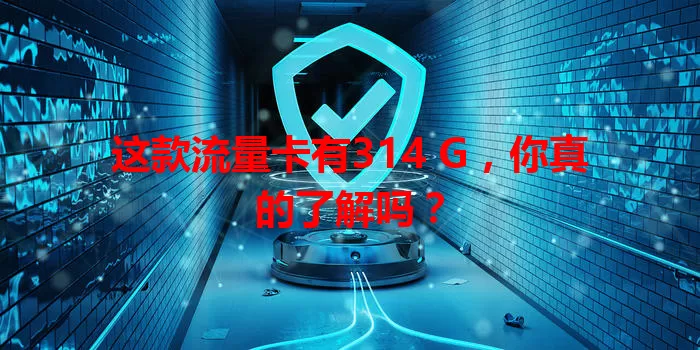 这款流量卡有314 G，你真的了解吗？