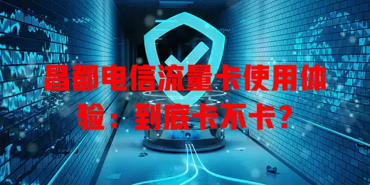 昌都电信流量卡使用体验：到底卡不卡？