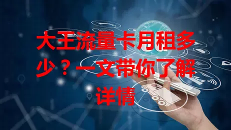 大王流量卡月租多少？一文带你了解详情