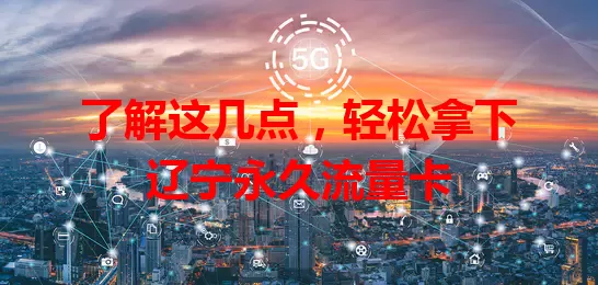 了解这几点，轻松拿下辽宁永久流量卡