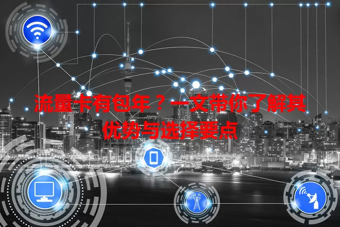 流量卡有包年？一文带你了解其优势与选择要点