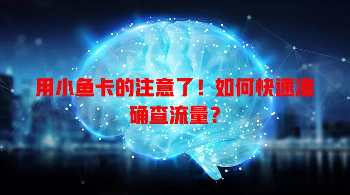 用小鱼卡的注意了！如何快速准确查流量？