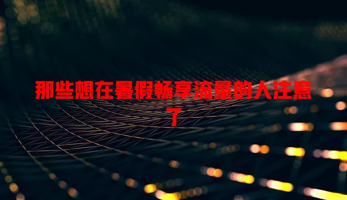 那些想在暑假畅享流量的人注意了