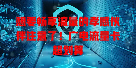 想要畅享流量的孝感伙伴注意了！广电流量卡超划算