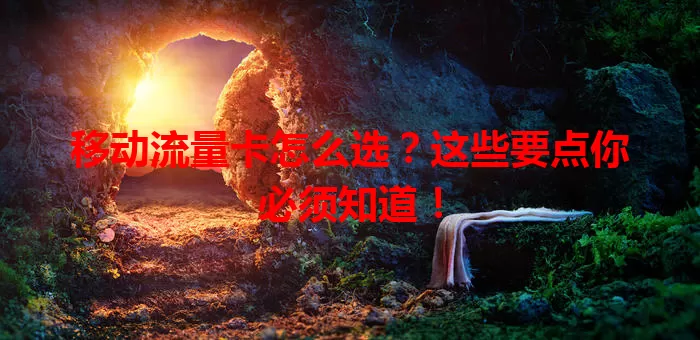 移动流量卡怎么选？这些要点你必须知道！