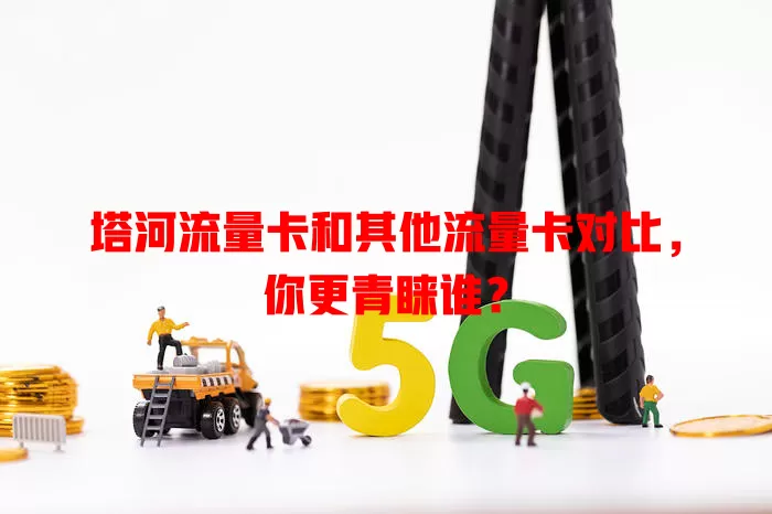 塔河流量卡和其他流量卡对比，你更青睐谁？