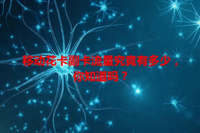移动花卡副卡流量究竟有多少，你知道吗？