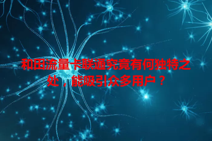 和田流量卡联通究竟有何独特之处，能吸引众多用户？