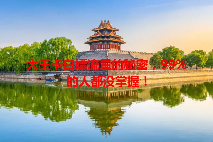 大王卡白嫖流量的秘密，99%的人都没掌握！