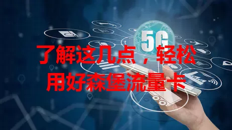 了解这几点，轻松用好森堡流量卡