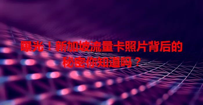 曝光！新加坡流量卡照片背后的秘密你知道吗？