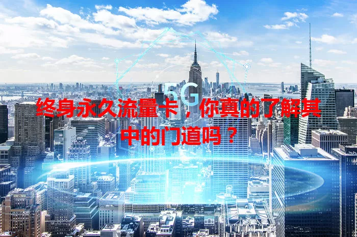 终身永久流量卡，你真的了解其中的门道吗？