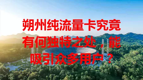 朔州纯流量卡究竟有何独特之处，能吸引众多用户？
