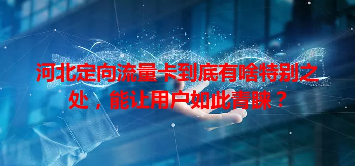 河北定向流量卡到底有啥特别之处，能让用户如此青睐？