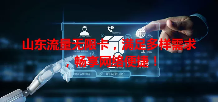 山东流量无限卡，满足多样需求，畅享网络便捷！