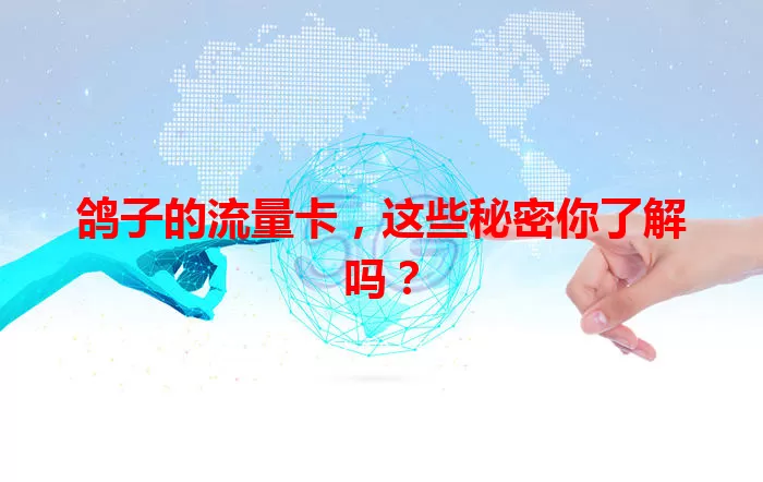 鸽子的流量卡，这些秘密你了解吗？
