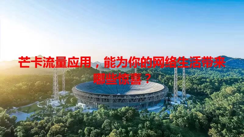 芒卡流量应用，能为你的网络生活带来哪些惊喜？