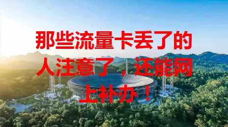 那些流量卡丢了的人注意了，还能网上补办！