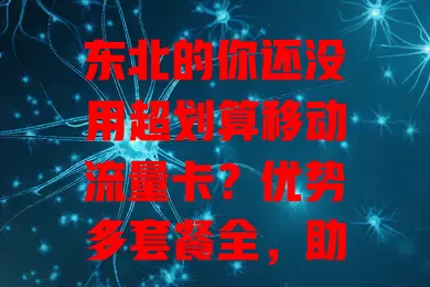 东北的你还没用超划算移动流量卡？优势多套餐全，助力生活工作娱乐